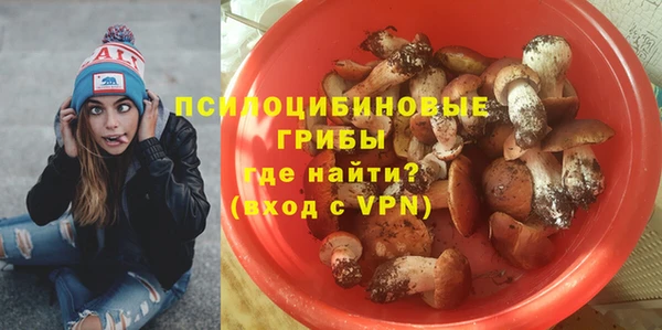 прущая мука Алзамай